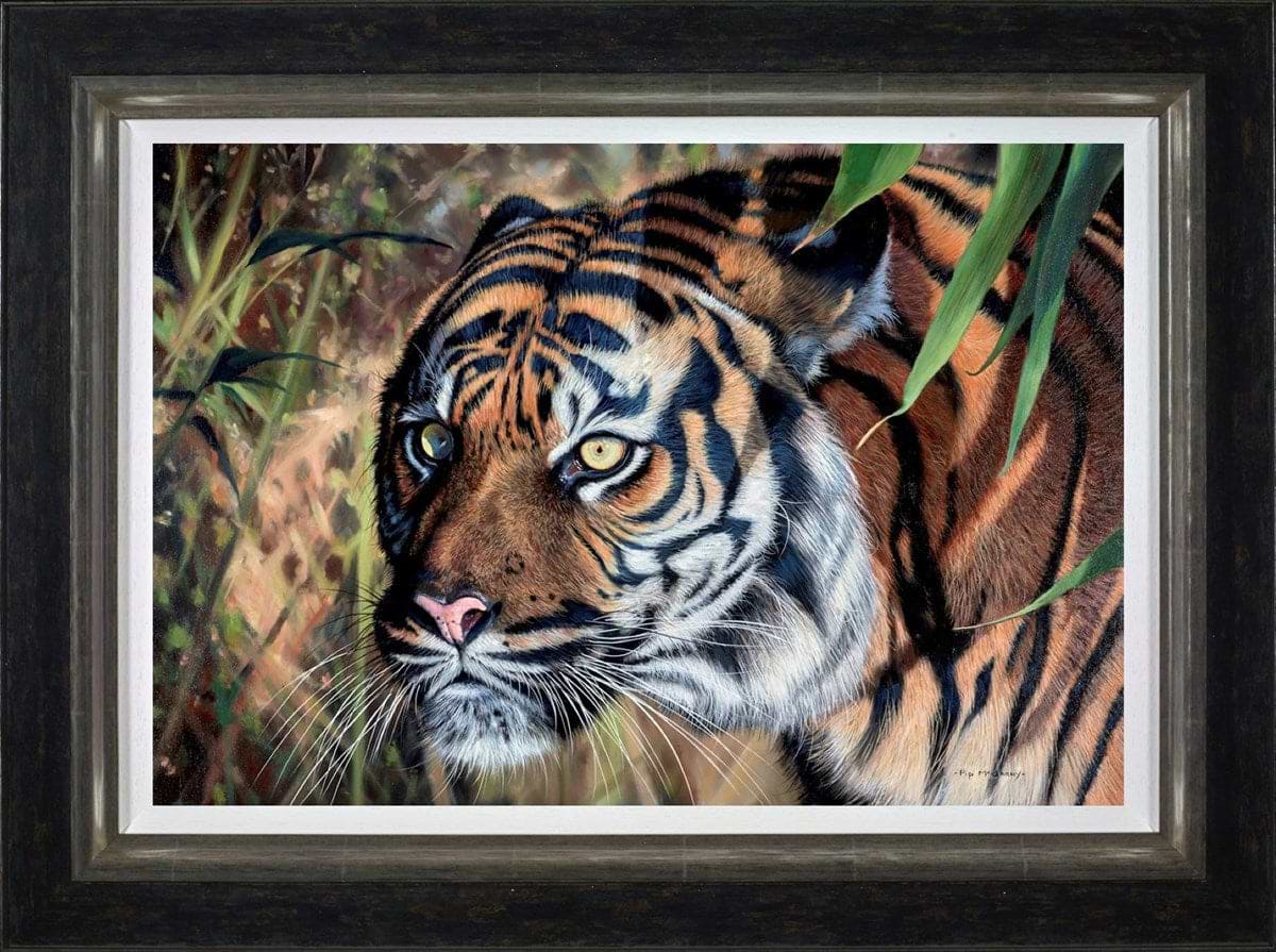 In the Shadows (Framed)