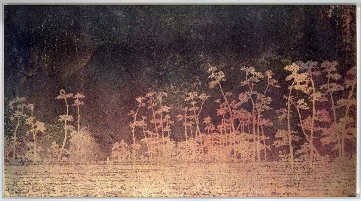 Woodland Beauty (Framed)