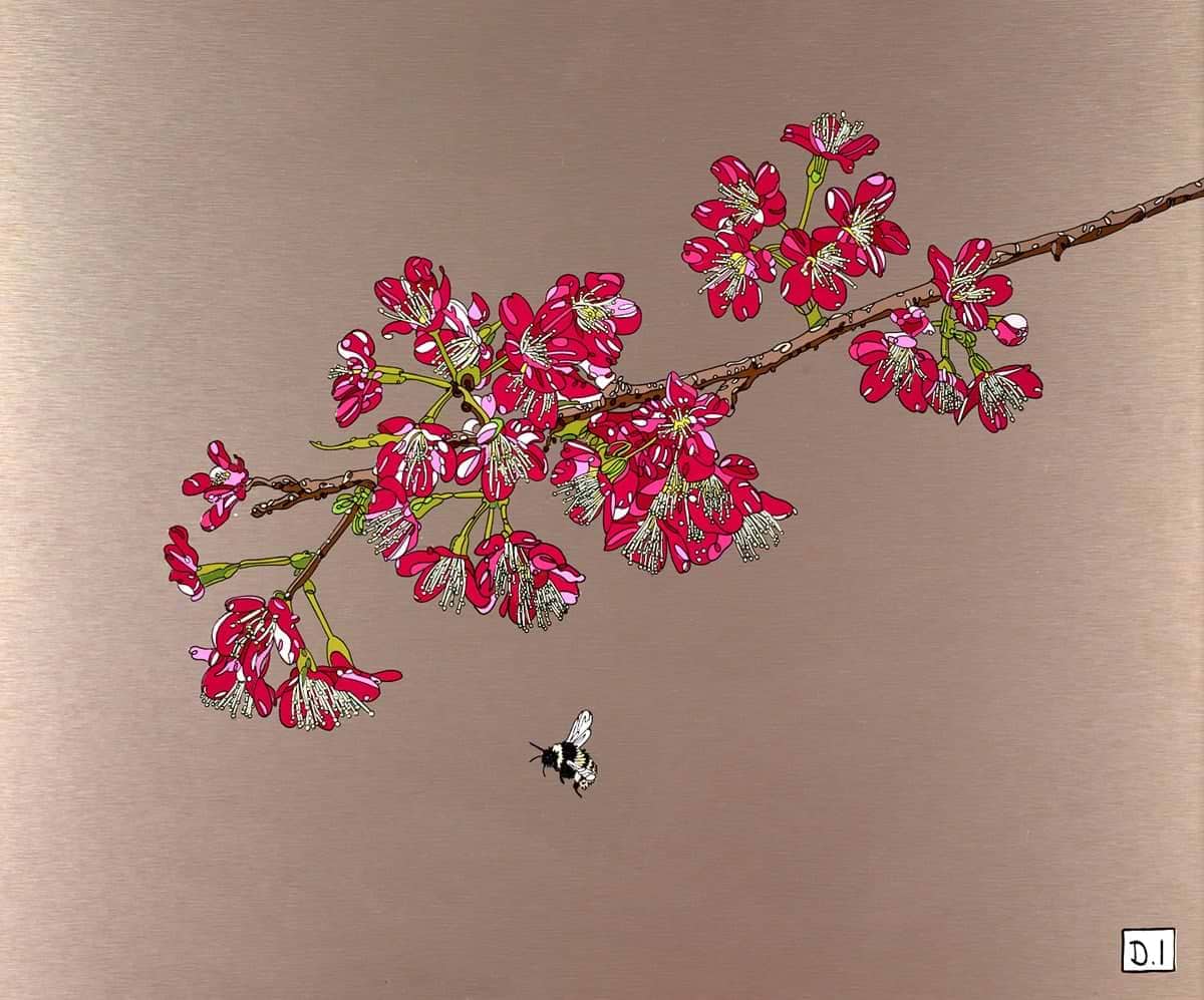 Cherry Blossom and Bee