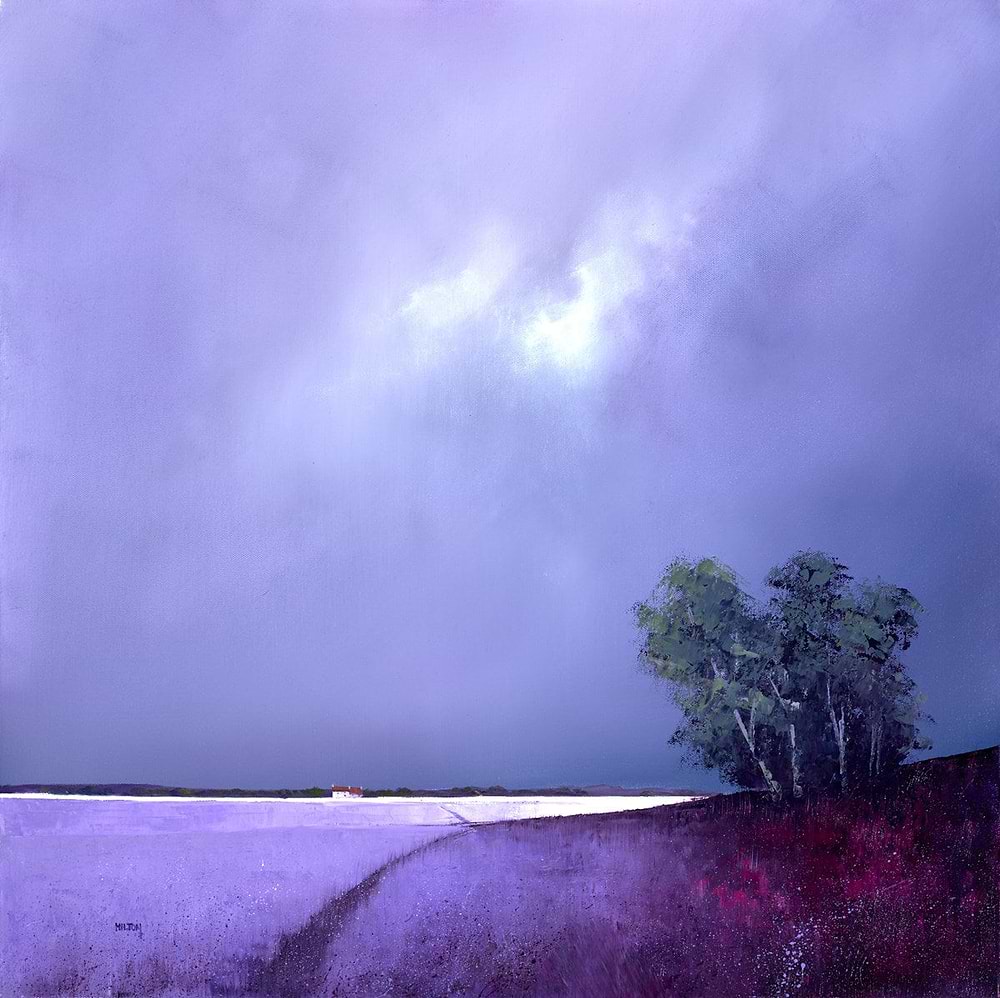 Fields of Lavender IV