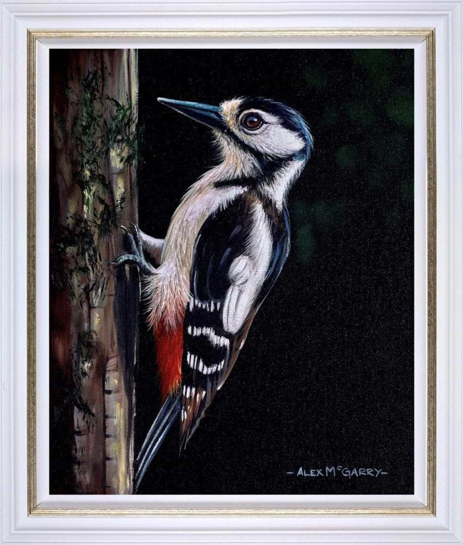 Great Spotted Woodpecker I (Framed)