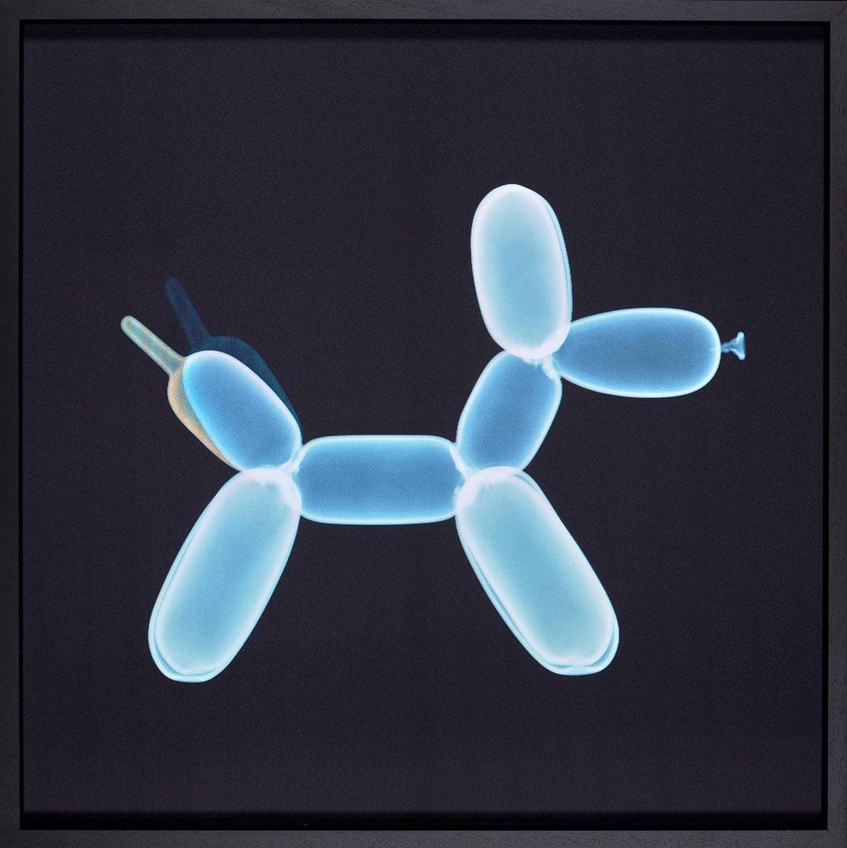Waggin' Balloon Dog