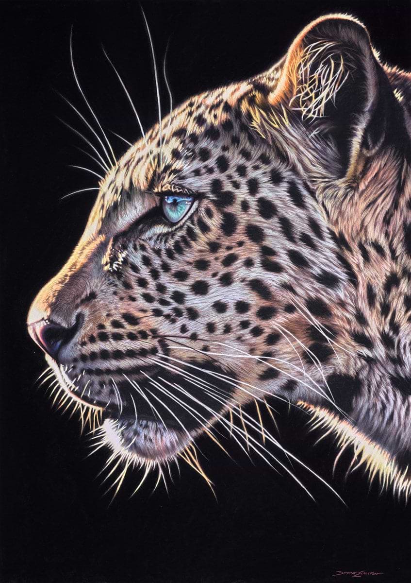 Leopard