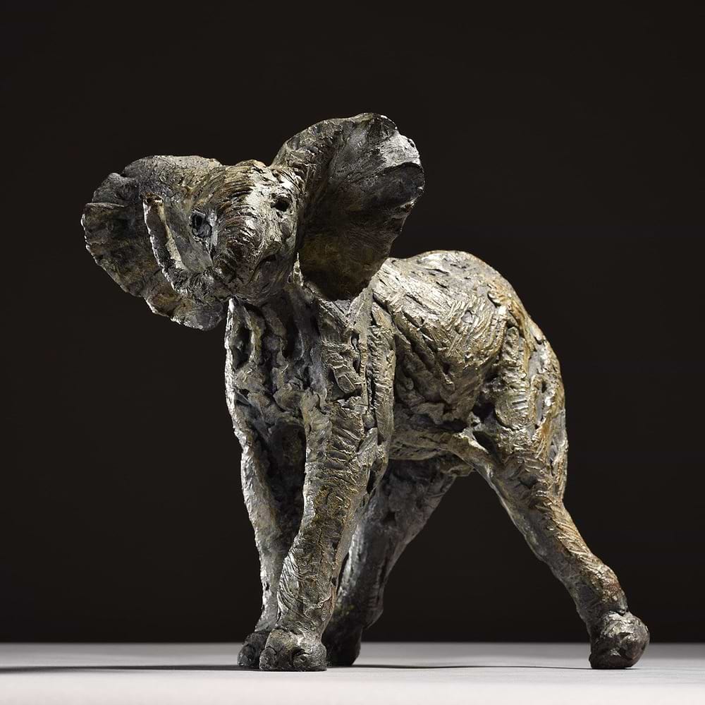 Elephant Calf Bashful - 2019