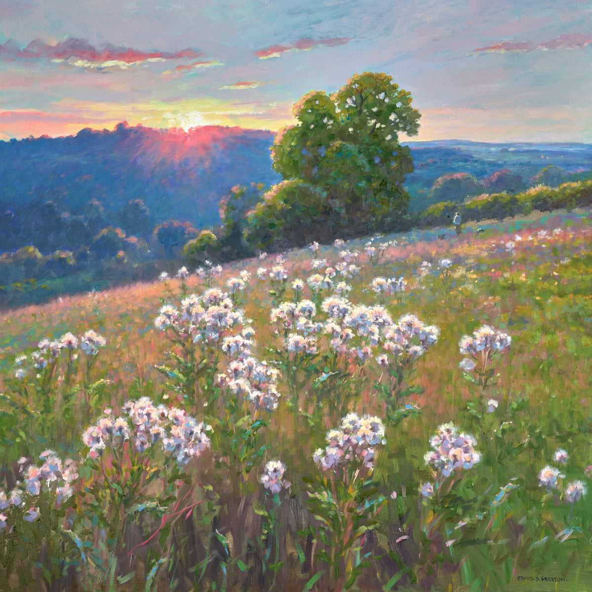 Thistles (sunset)