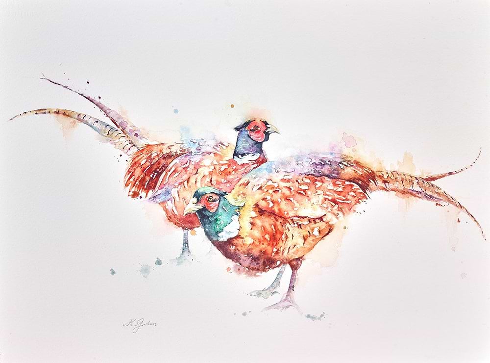 White Collared Pheasants