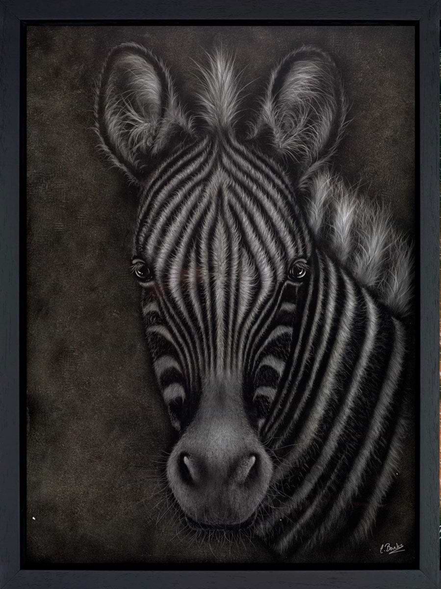 Just Curious (Framed)