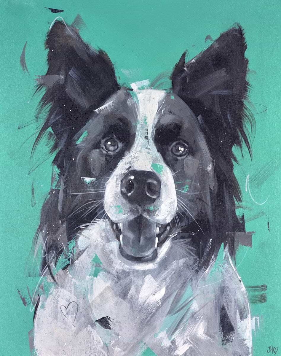 Collie Affection