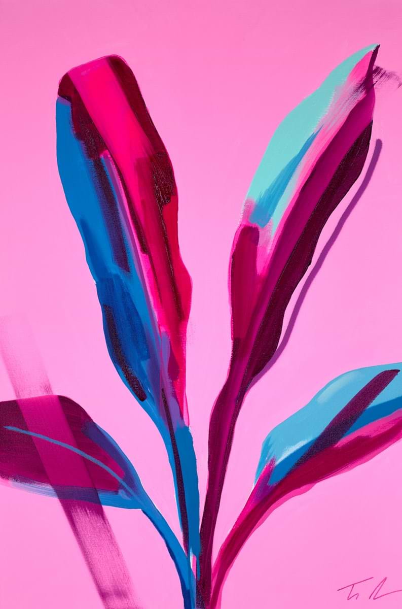 Abyssinian Pink Banana | Tim Fowler – Clarendon Fine Art