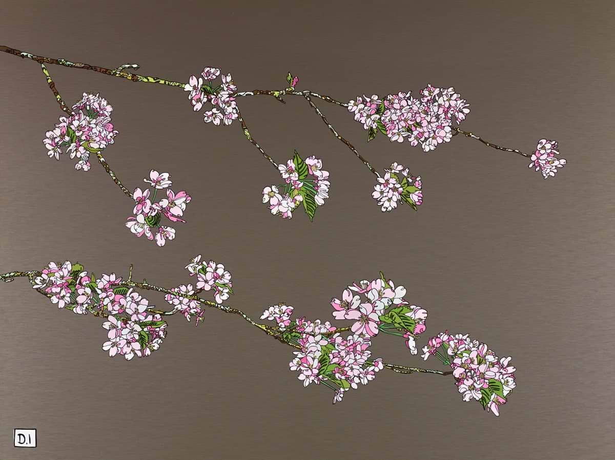 Pink Cherry Blossom II