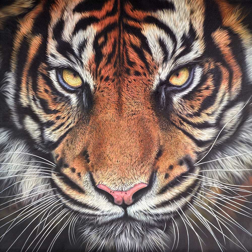 Tiger Demo