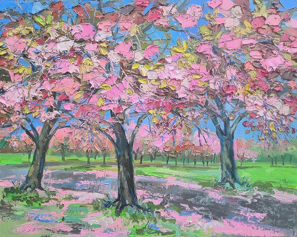 Sun on Cherry Blossom, The Meadows