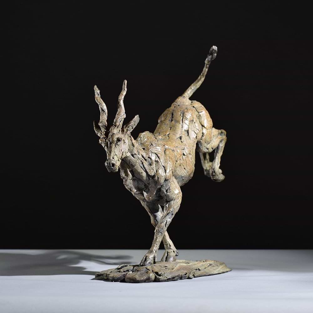 Eland - 2019
