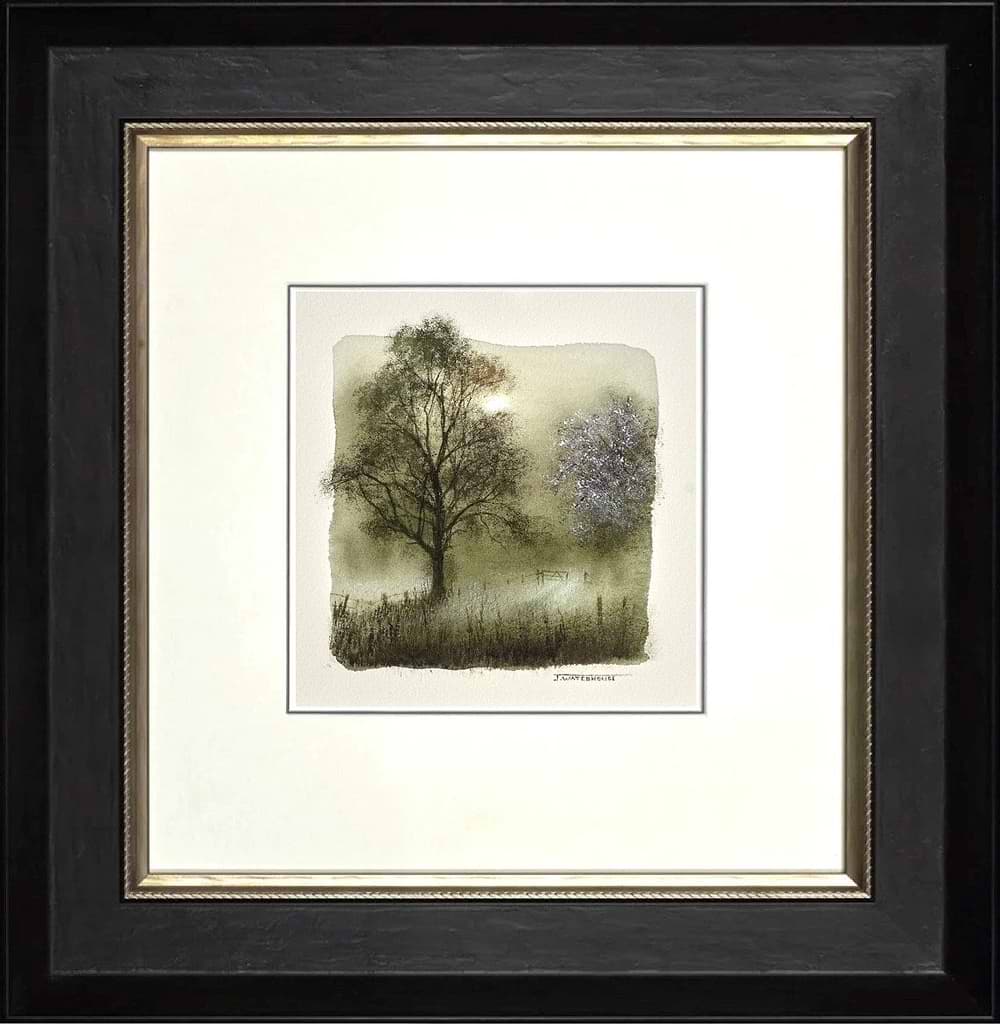 Hawthorn Blossom (Study) (Framed)