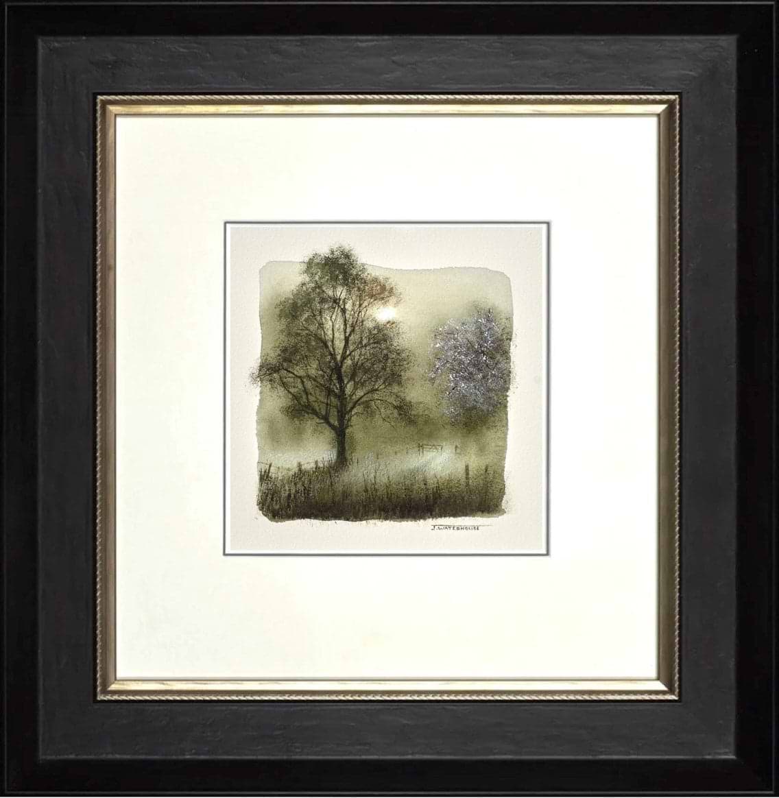 Hawthorn Blossom (Study) (Framed)