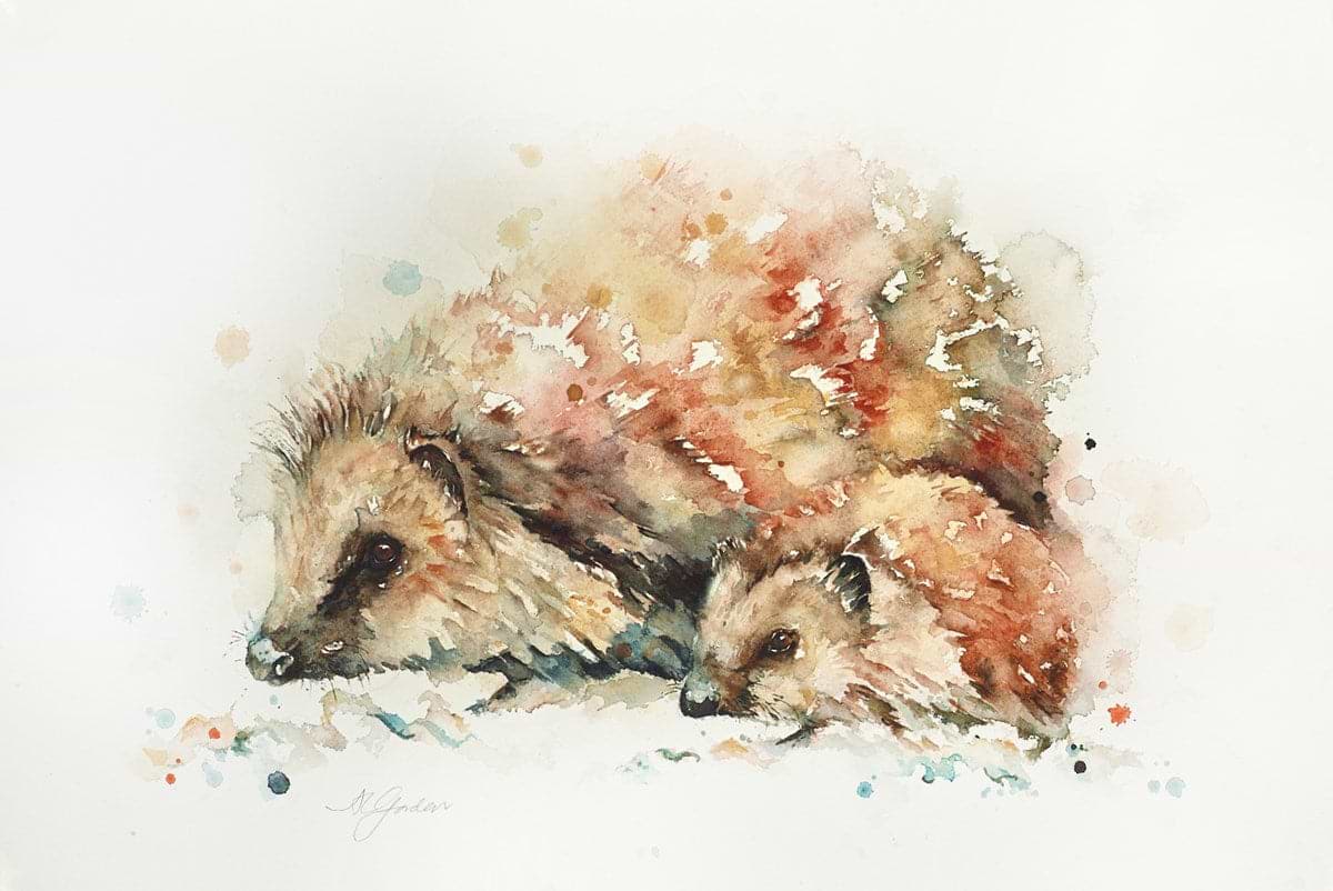 Setting Out- Hedgehog With Hoglet