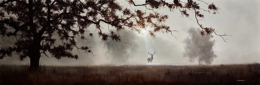 The Fleeting Glimpse