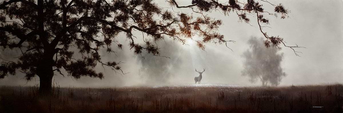 The Fleeting Glimpse