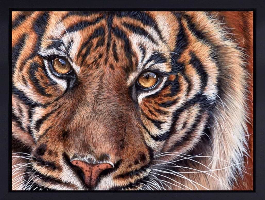 The Eyes Never Lie... (Framed)