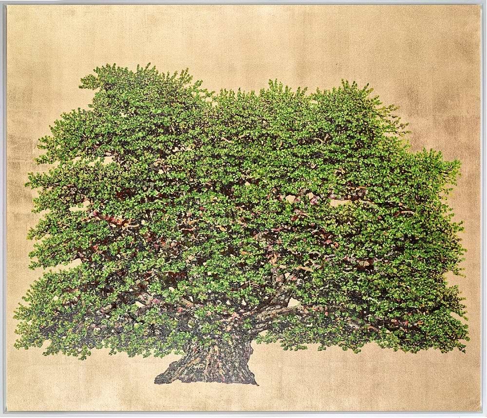 The Herman Oak (Framed)