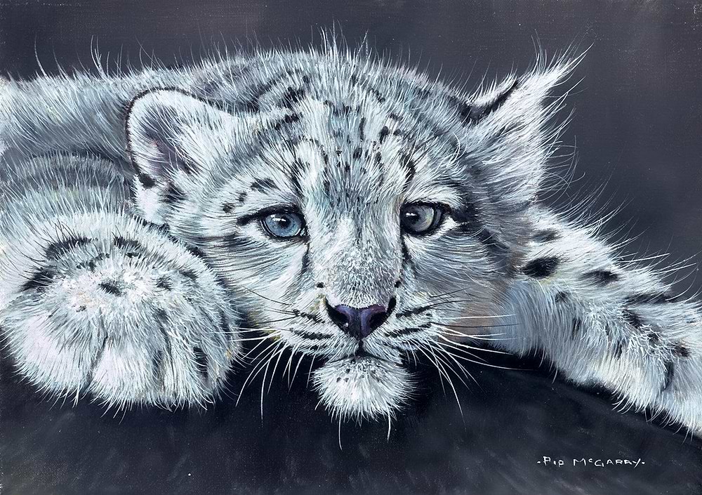 Snow Leopard Cub