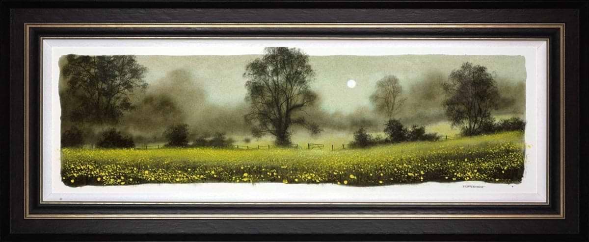 Buttercups (study) (Framed)