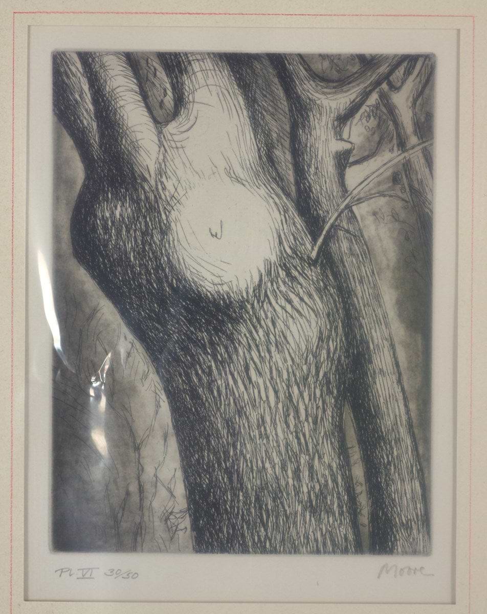 Trees VI: Dead Ash