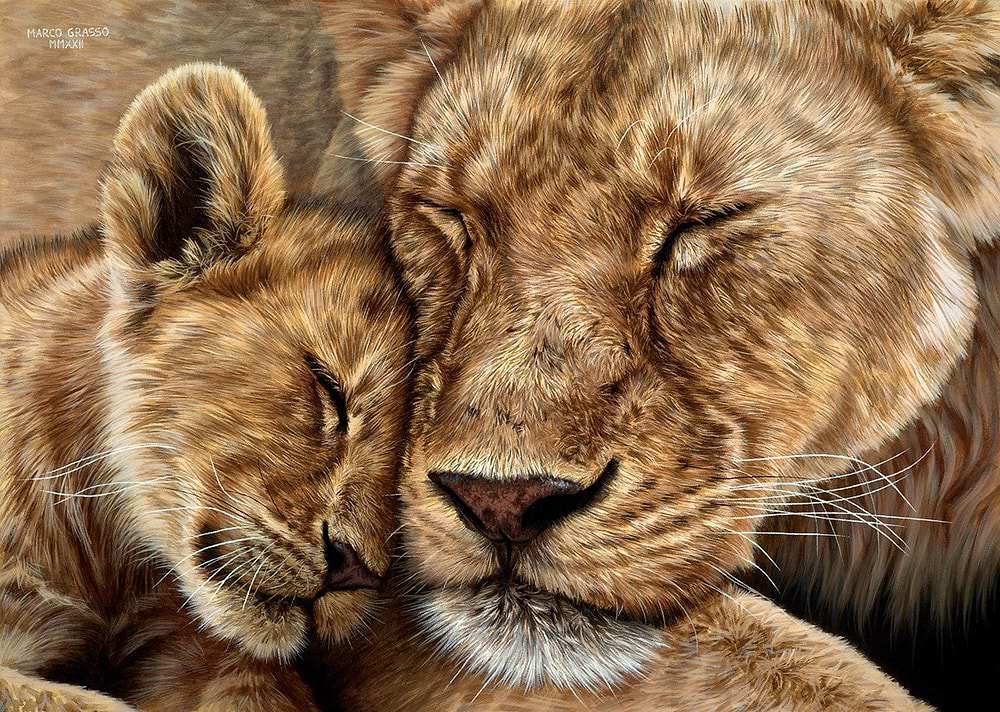 Love and Affection