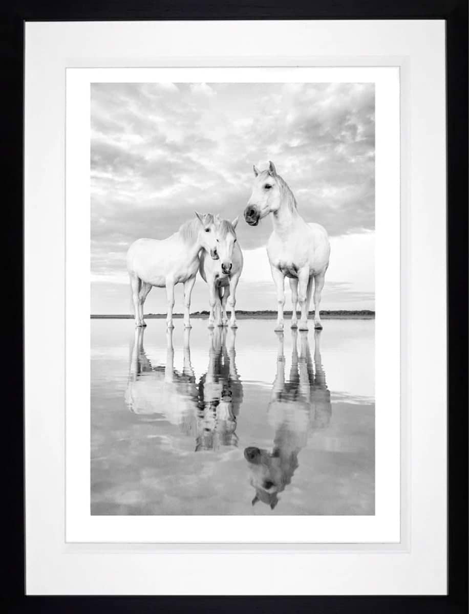 Morning Reflections (Framed)