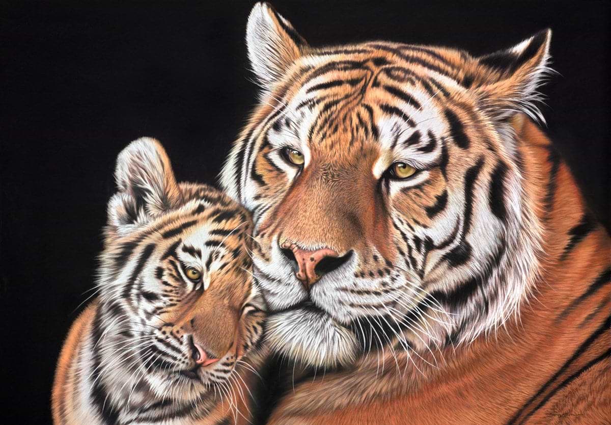 Tiger and Cub