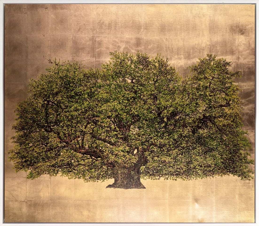 Woodland Beauty IV (Framed)