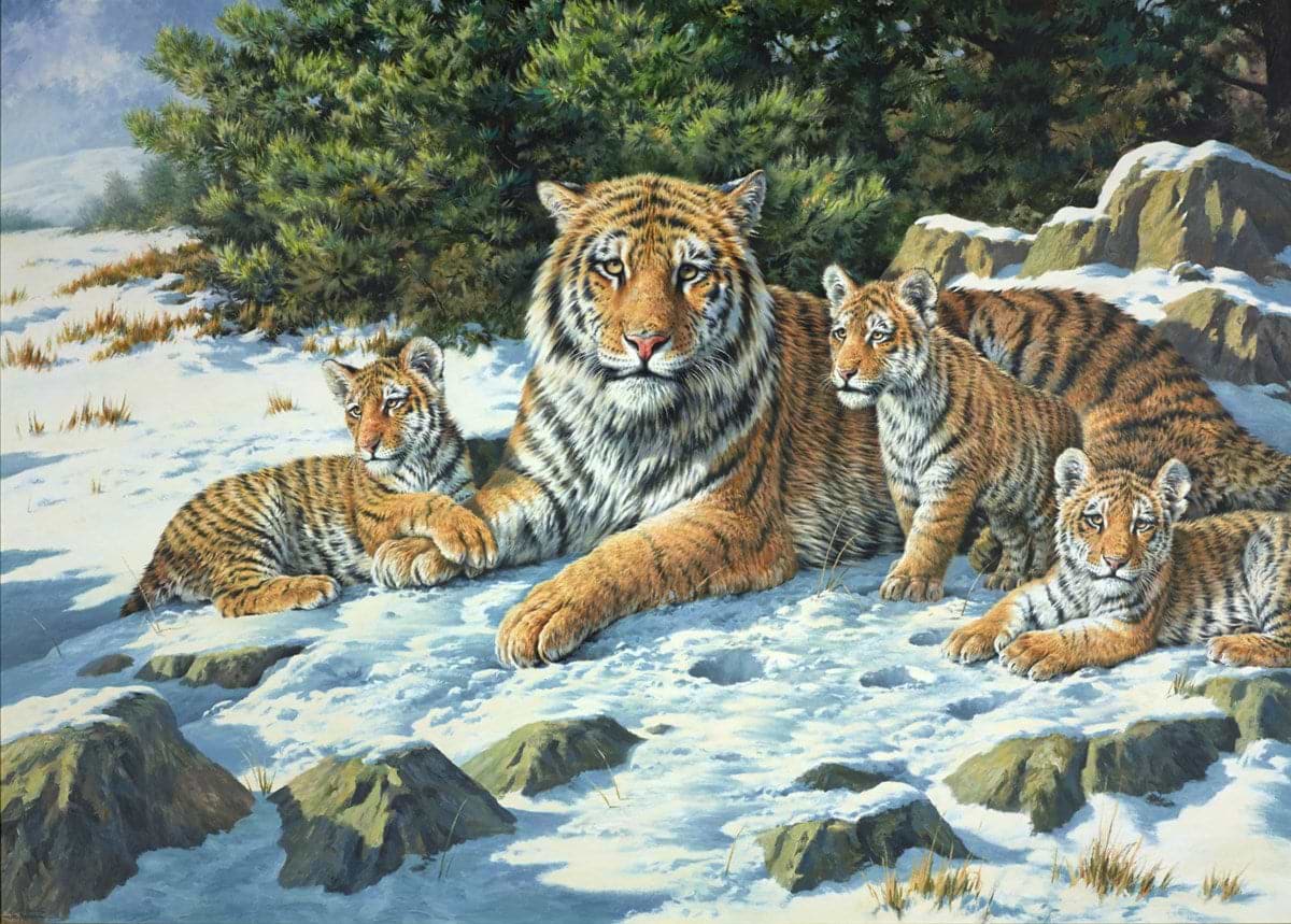 Tiger Family