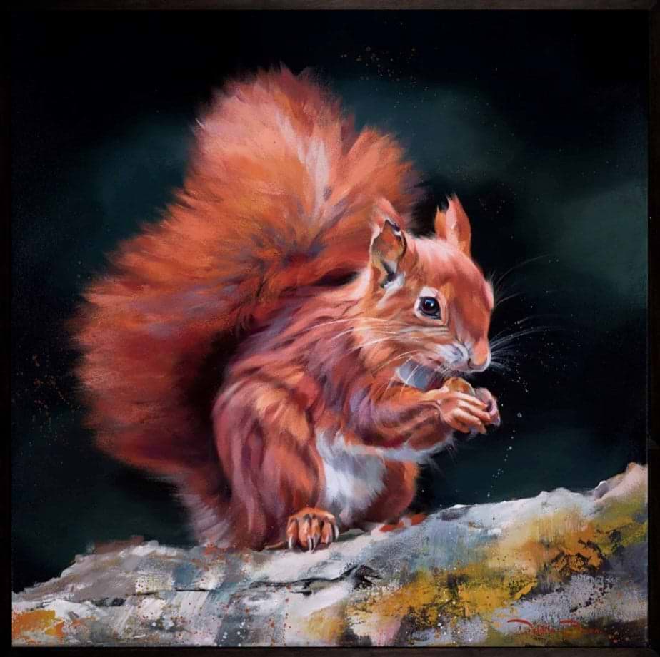 Bright Eyed and Bushy Tailed (Framed)