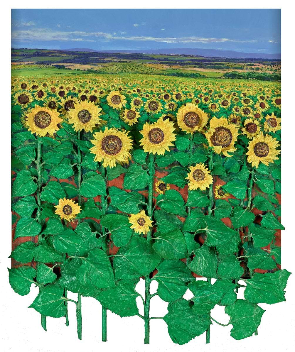 Girasoles