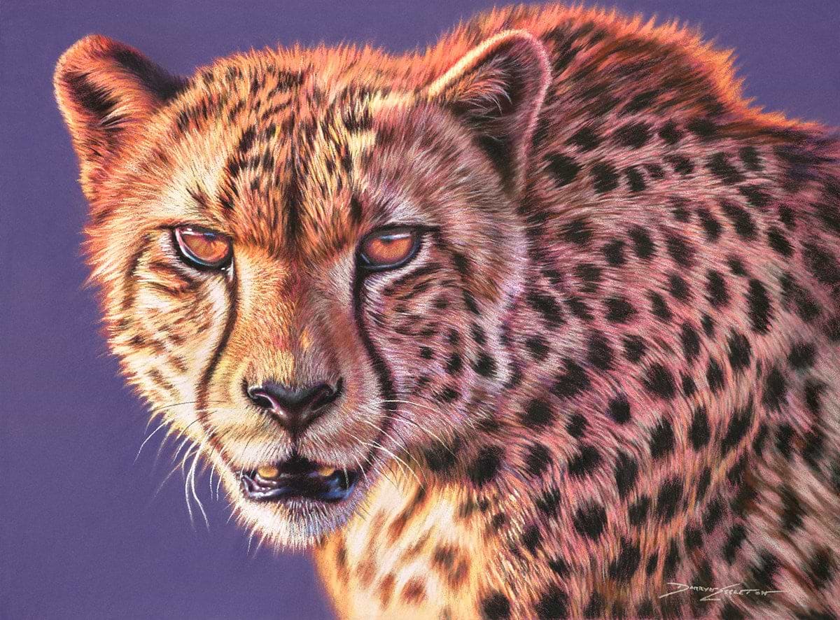 Cheetah Glare