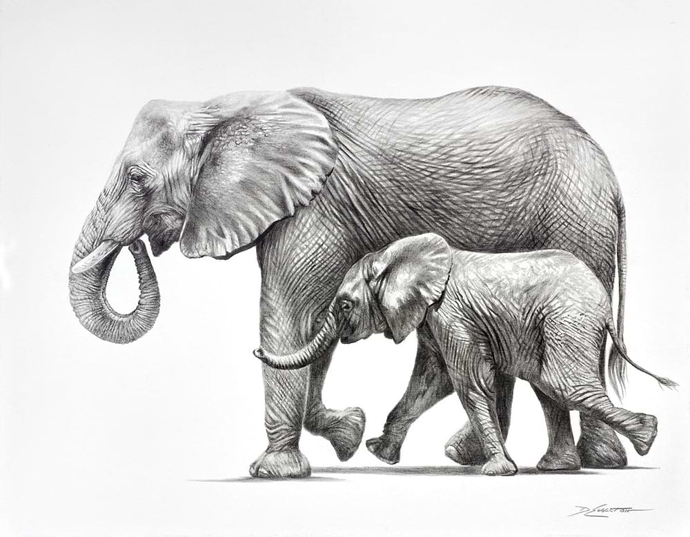 Elephants Happy Together