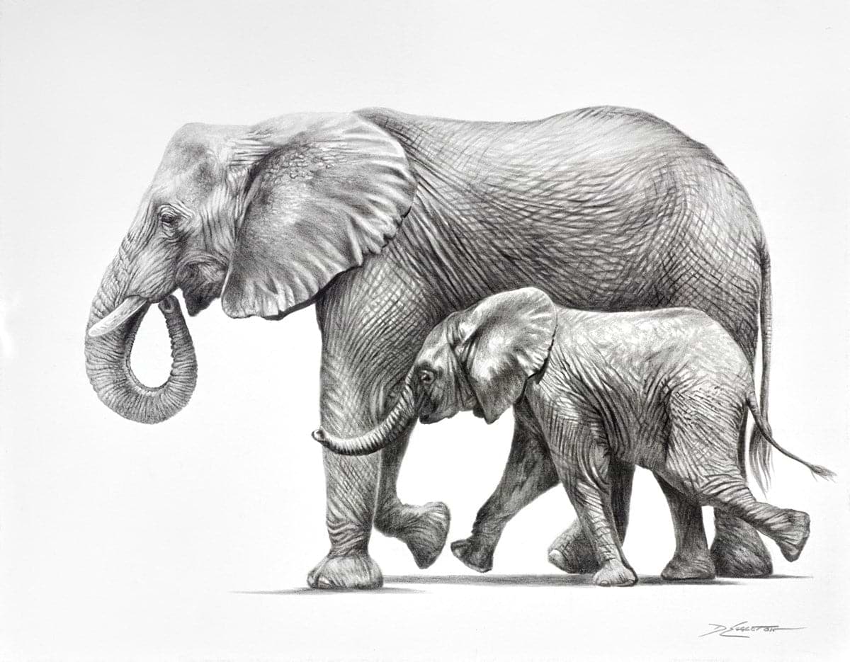 Elephants Happy Together