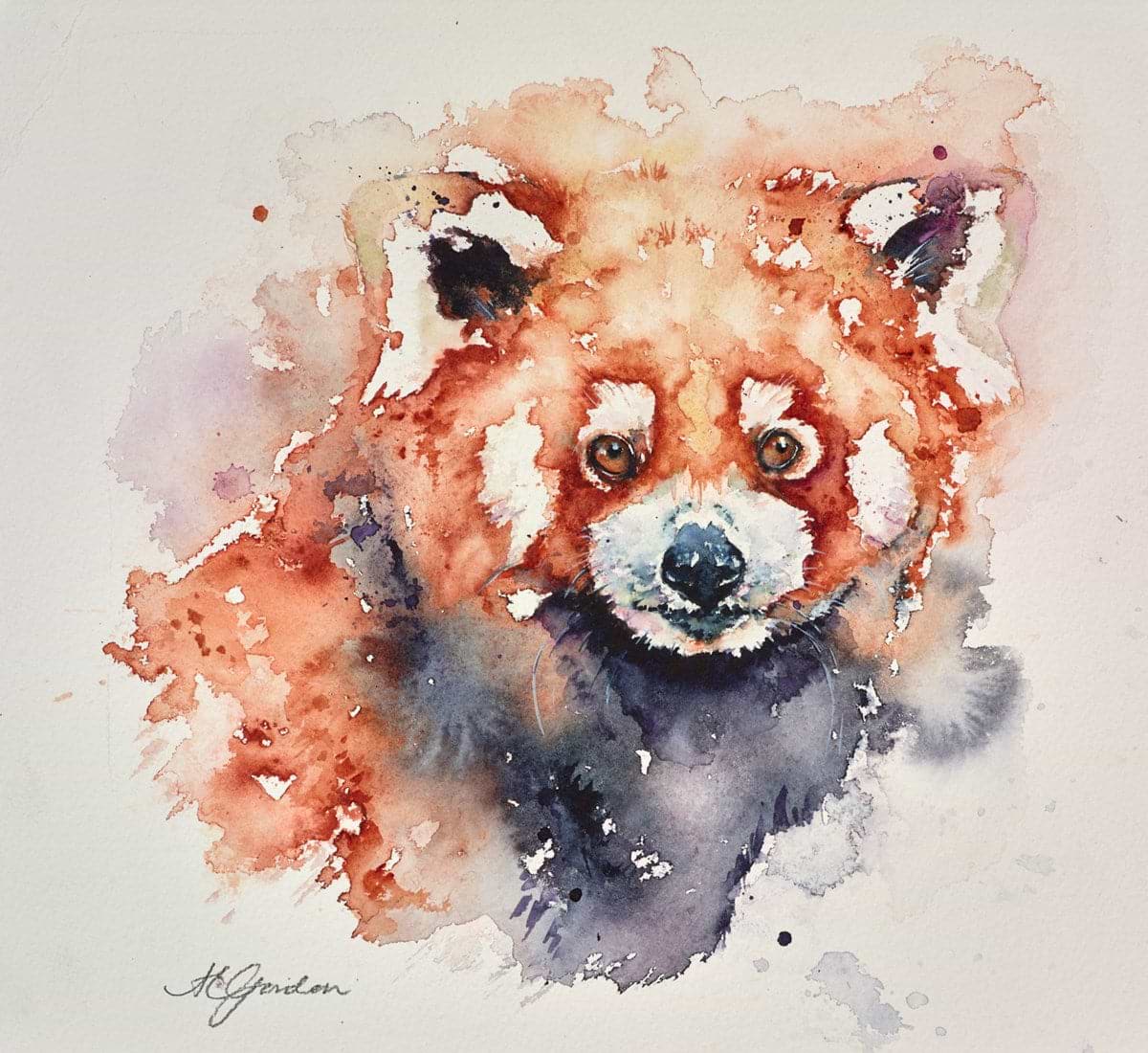 Red Panda