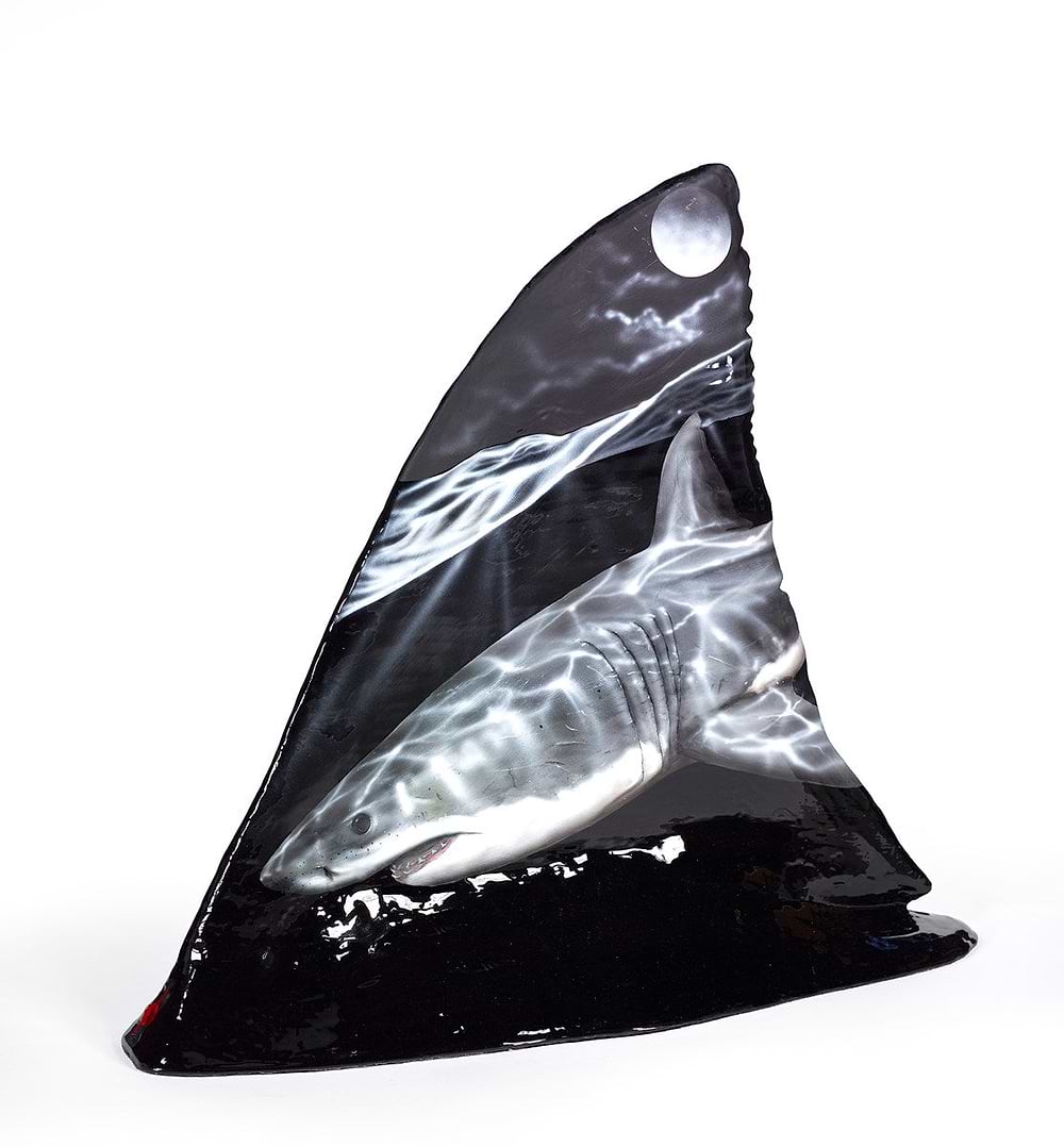 Shark Fin