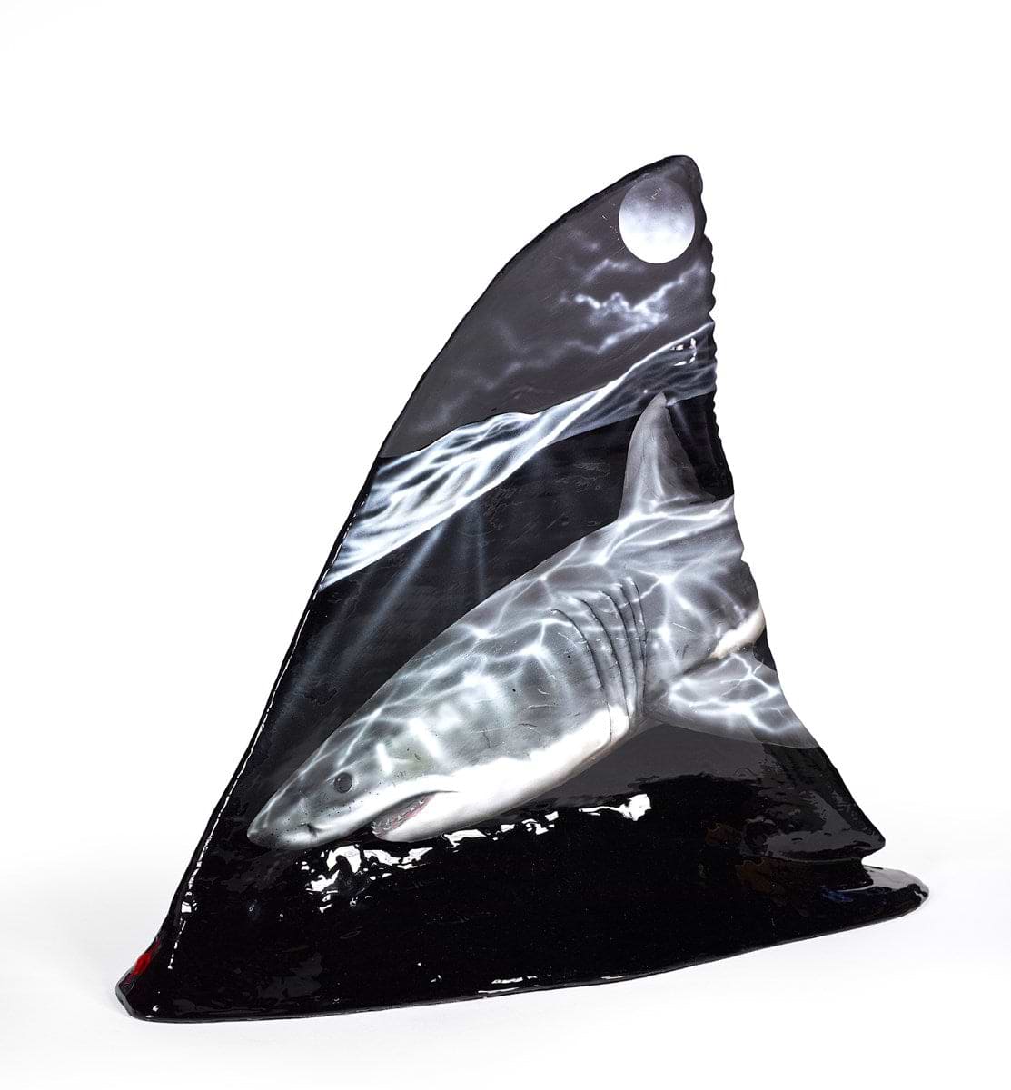 Shark Fin