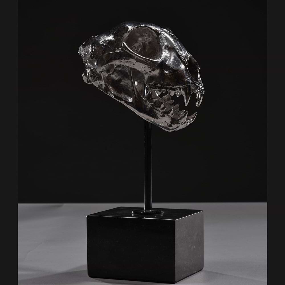 Cheetah Skull - 2020