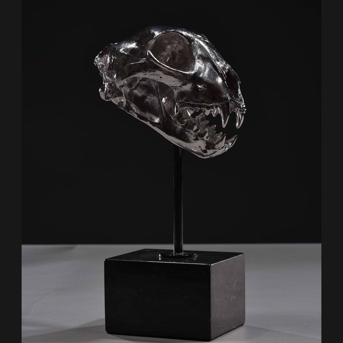 Cheetah Skull - 2020