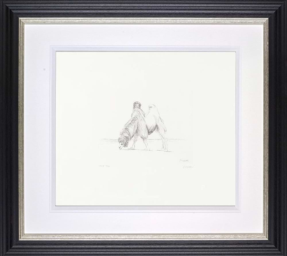 Dromedary from Animals in the Zoo, 1981 (Framed)