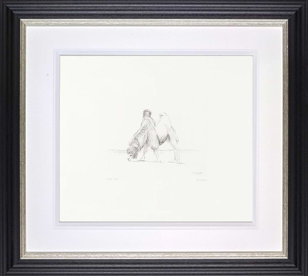 Dromedary from Animals in the Zoo, 1981 (Framed)