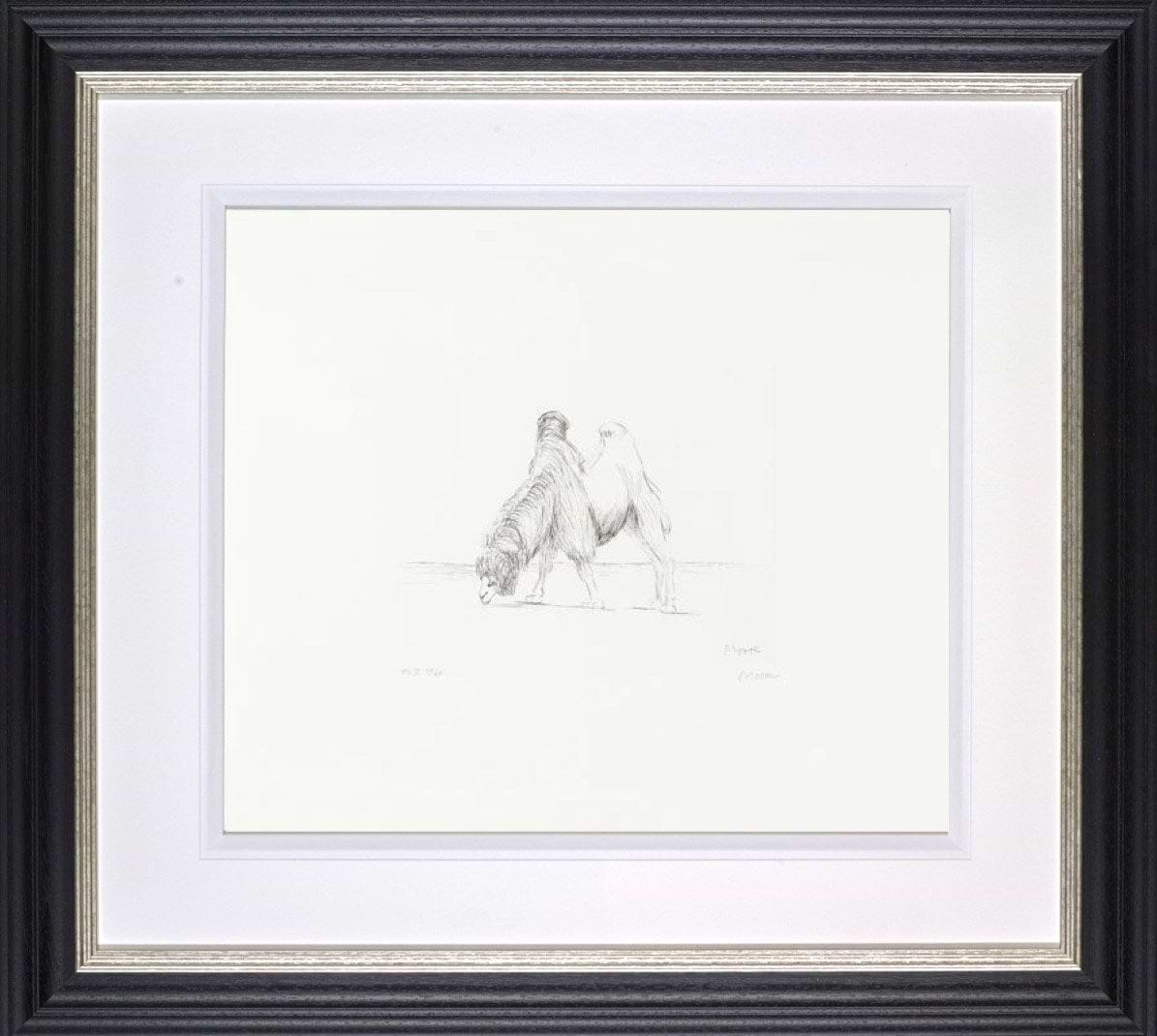 Dromedary from Animals in the Zoo, 1981 (Framed)