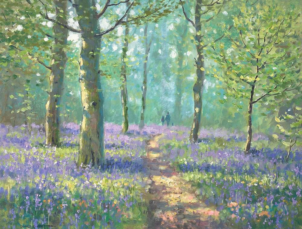 Bluebell Walk II
