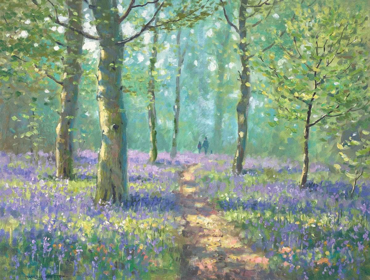 Bluebell Walk II