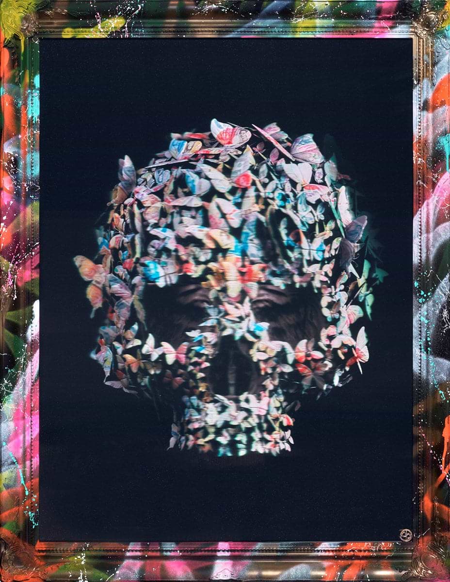Moneyflies Skull