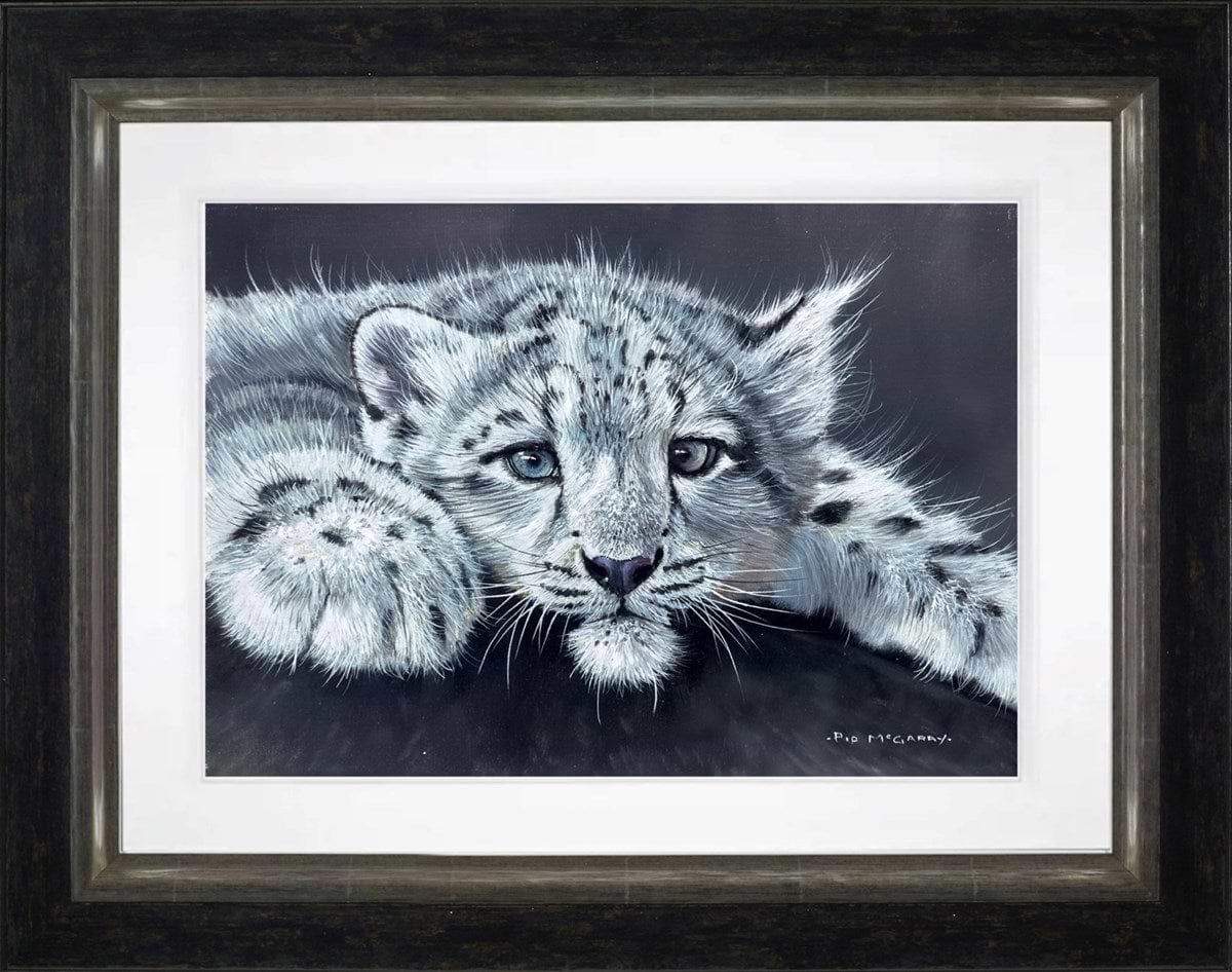 Snow Leopard Cub (Framed)