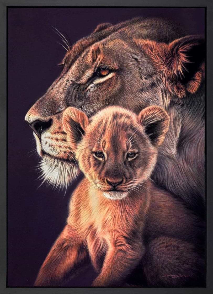 A Lion's Love (Framed)